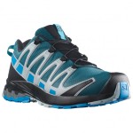 Salomon<br>XA Pro 3 V8 GTX Men